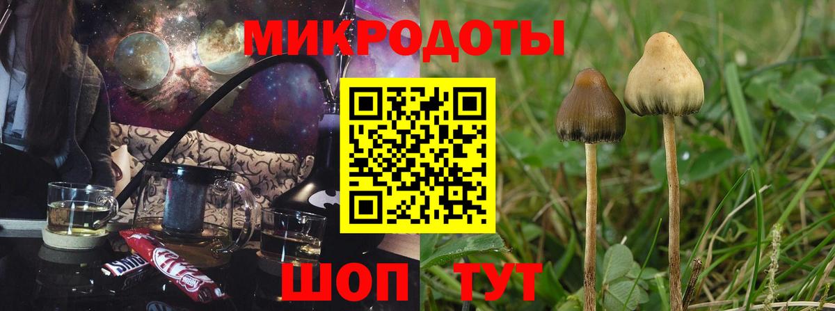 Воскресенск  продажа наркотиков  Вход с VPN  Псилоцибиновые грибы ЛСД 