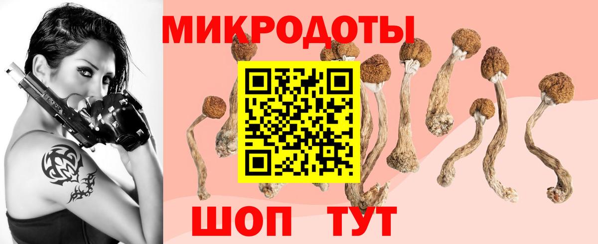 Галлюциногенные грибы Cubensis Воскресенск